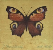 Zdrubecký Jindřich (1923 - 1986), Motýli