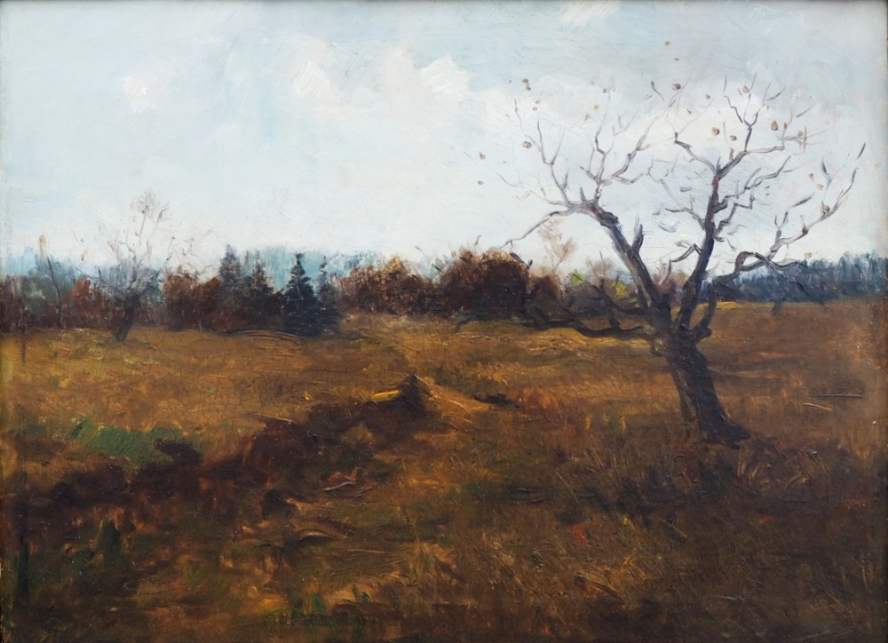 Braunerová Zdenka(1858 - 1954), Podzimní krajina se stromem