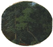 BUBÁK Alois (1824 - 1870)
