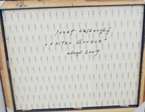 Velčovský Josef (1945 - ), V nitru džungle