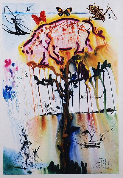 Salvador Dalí