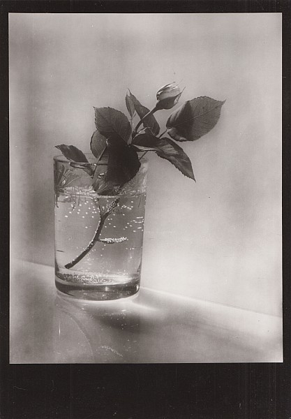 Josef Sudek ヨゼフ・スデク　Zátiší Josef Sudek ヨゼフ・スデク Zátiší Josef Sudek ヨゼフ・スデク