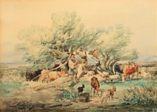 Zvěřina Bohumír František (1835 - 1908)