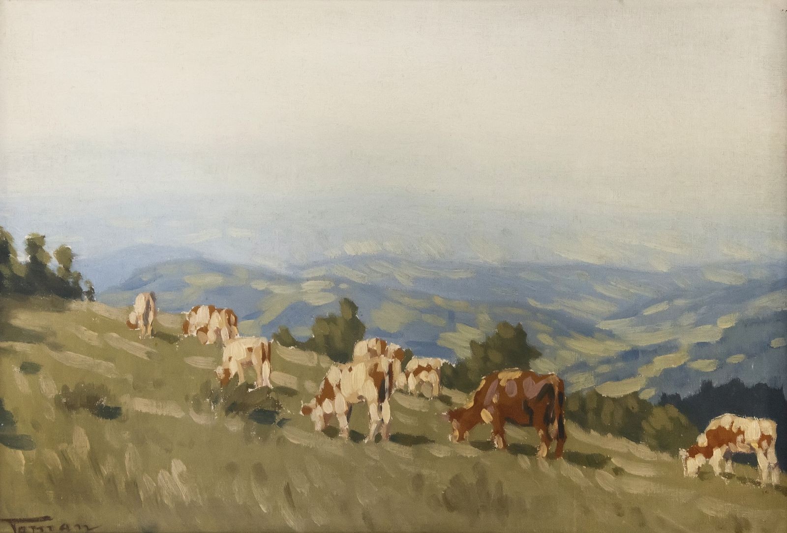 "Krávy na horské pastvině s výhledem do krajiny"