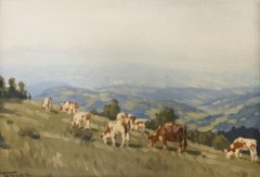 "Krávy na horské pastvině s výhledem do krajiny"