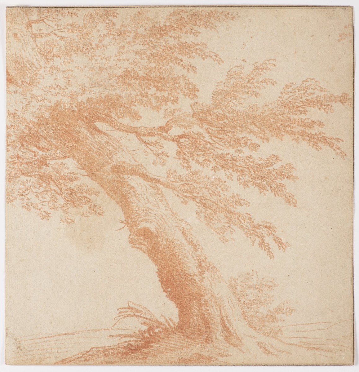 GILLIS VAN CONIXLOO I. 1544 - 1607 - STROM