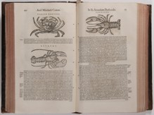PIETRO ANDREA MATTIOLI 1501 - 1577 - DE MEDICA MATERIA S KOMENTÁŘI