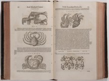 PIETRO ANDREA MATTIOLI 1501 - 1577 - DE MEDICA MATERIA S KOMENTÁŘI