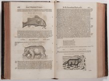 PIETRO ANDREA MATTIOLI 1501 - 1577 - DE MEDICA MATERIA S KOMENTÁŘI