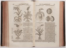 PIETRO ANDREA MATTIOLI 1501 - 1577 - DE MEDICA MATERIA S KOMENTÁŘI