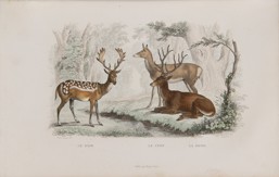 GEORGE LOUIS LECLERC DE BUFFON 1707 - 1788 - OEUVRES COMPLETES. AVEC DE EXTRAITS DE DAUBENTON.