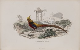 GEORGE LOUIS LECLERC DE BUFFON 1707 - 1788 - OEUVRES COMPLETES. AVEC DE EXTRAITS DE DAUBENTON.