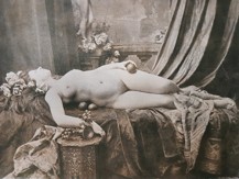 Hofer Otto Schmidt