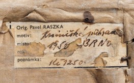 Raszka Pavel (1907-1979)
