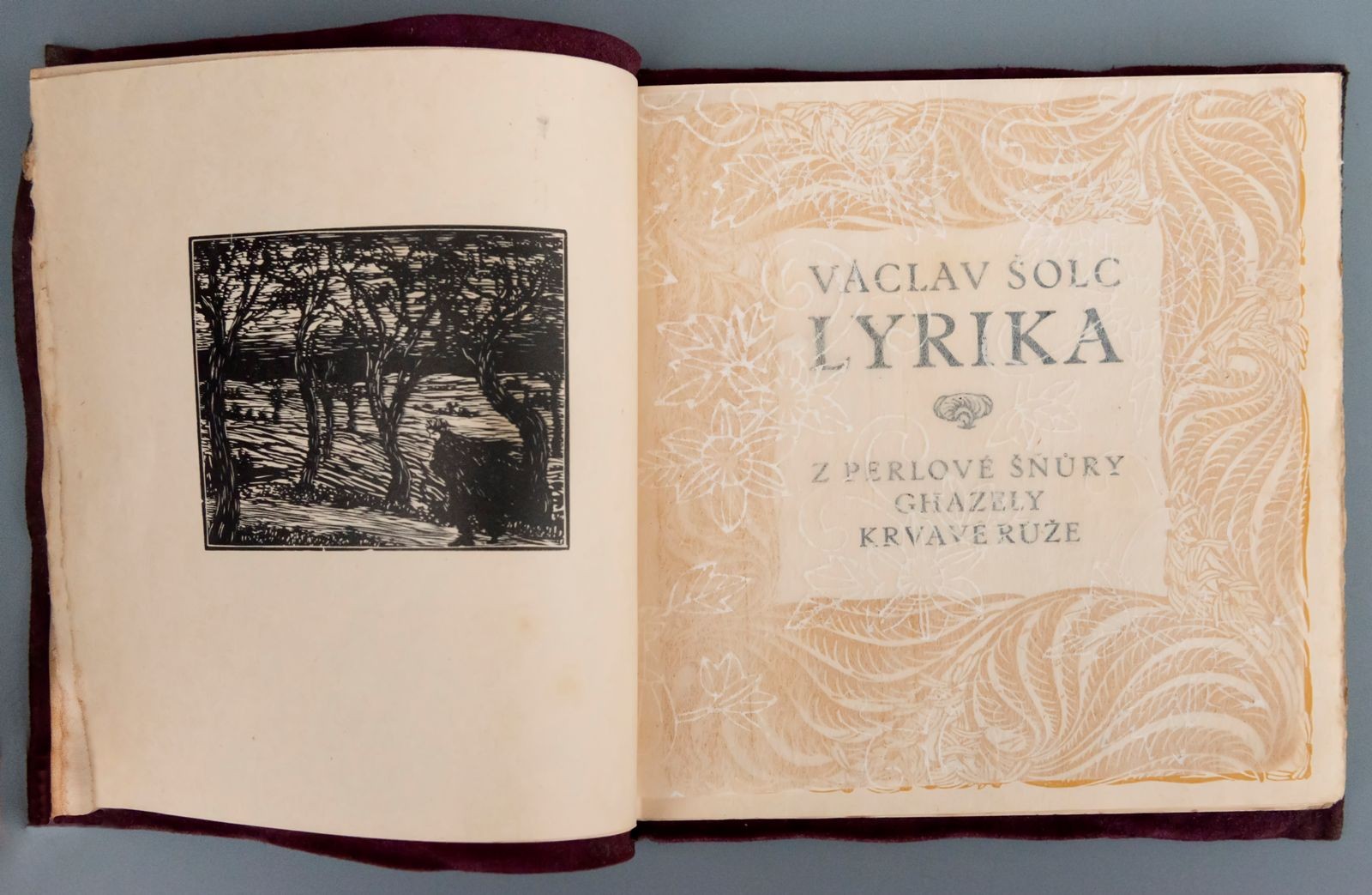 Bibliofilie "Lyrika - Václav Šolc, ilustrace František Kobliha"
