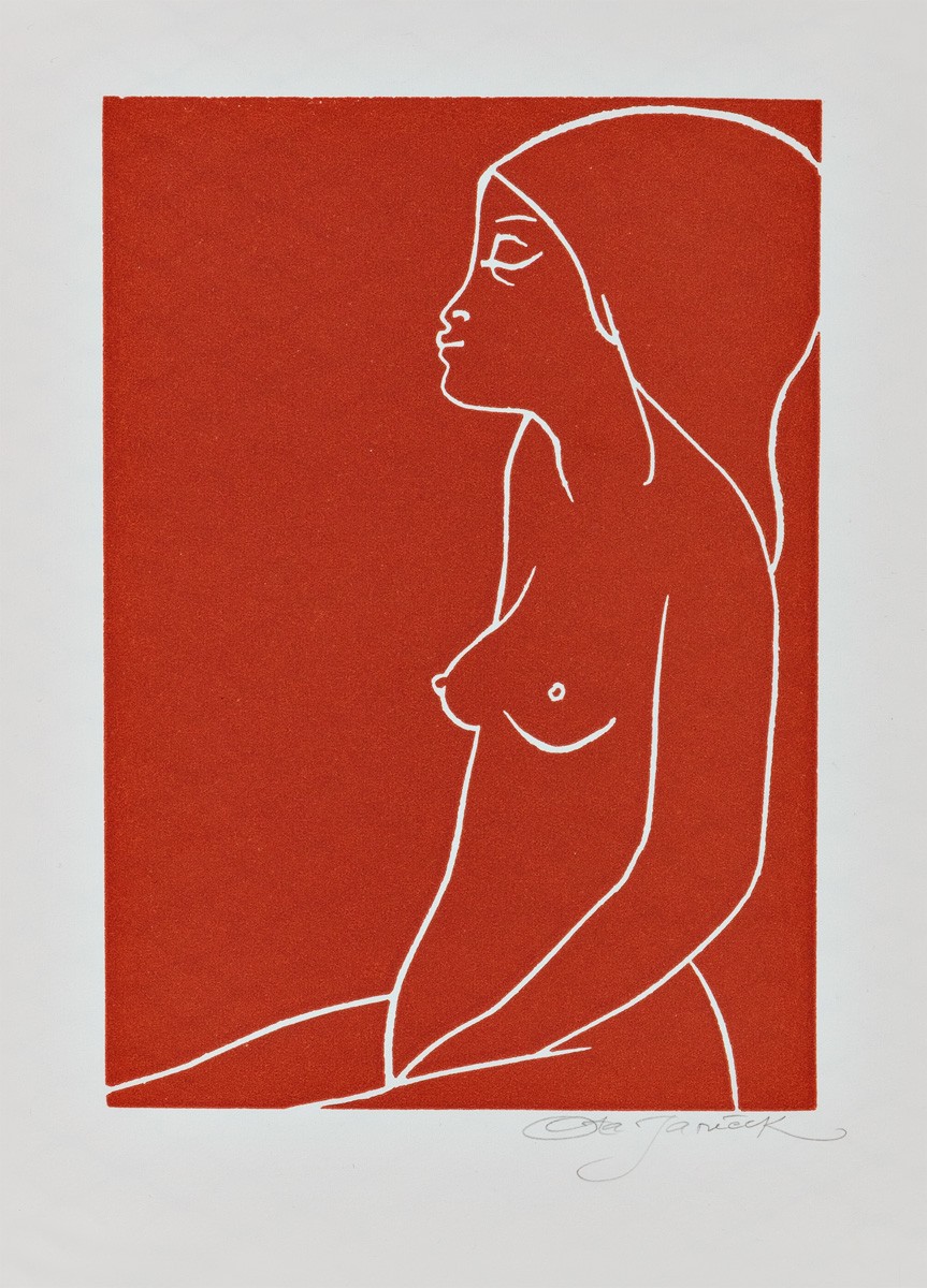 Janeček Ota | Dívčí akt