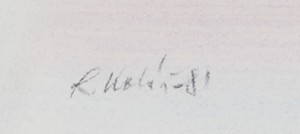 Kolář Radomír | Dostihy