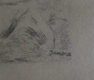 Auguste Renoir