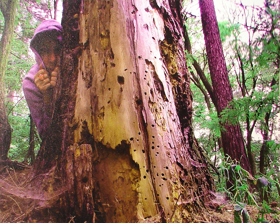 Bromová Veronika (*1966)