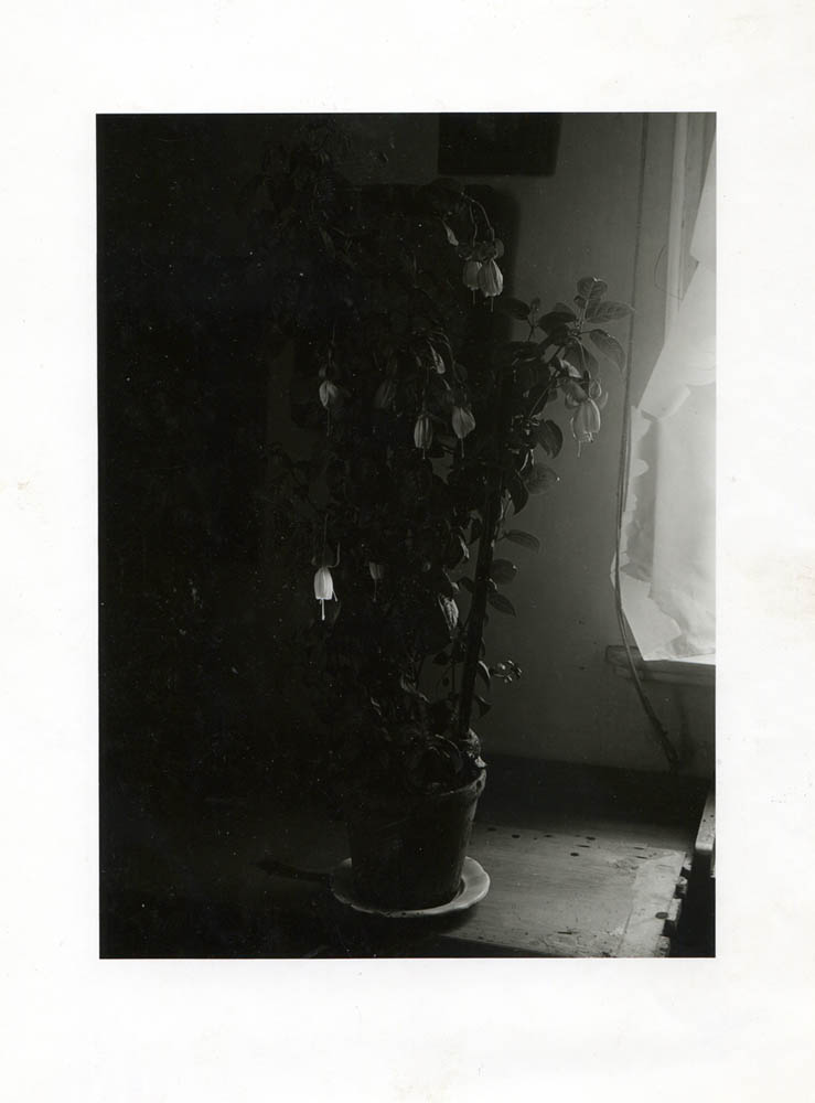 Jan Svoboda