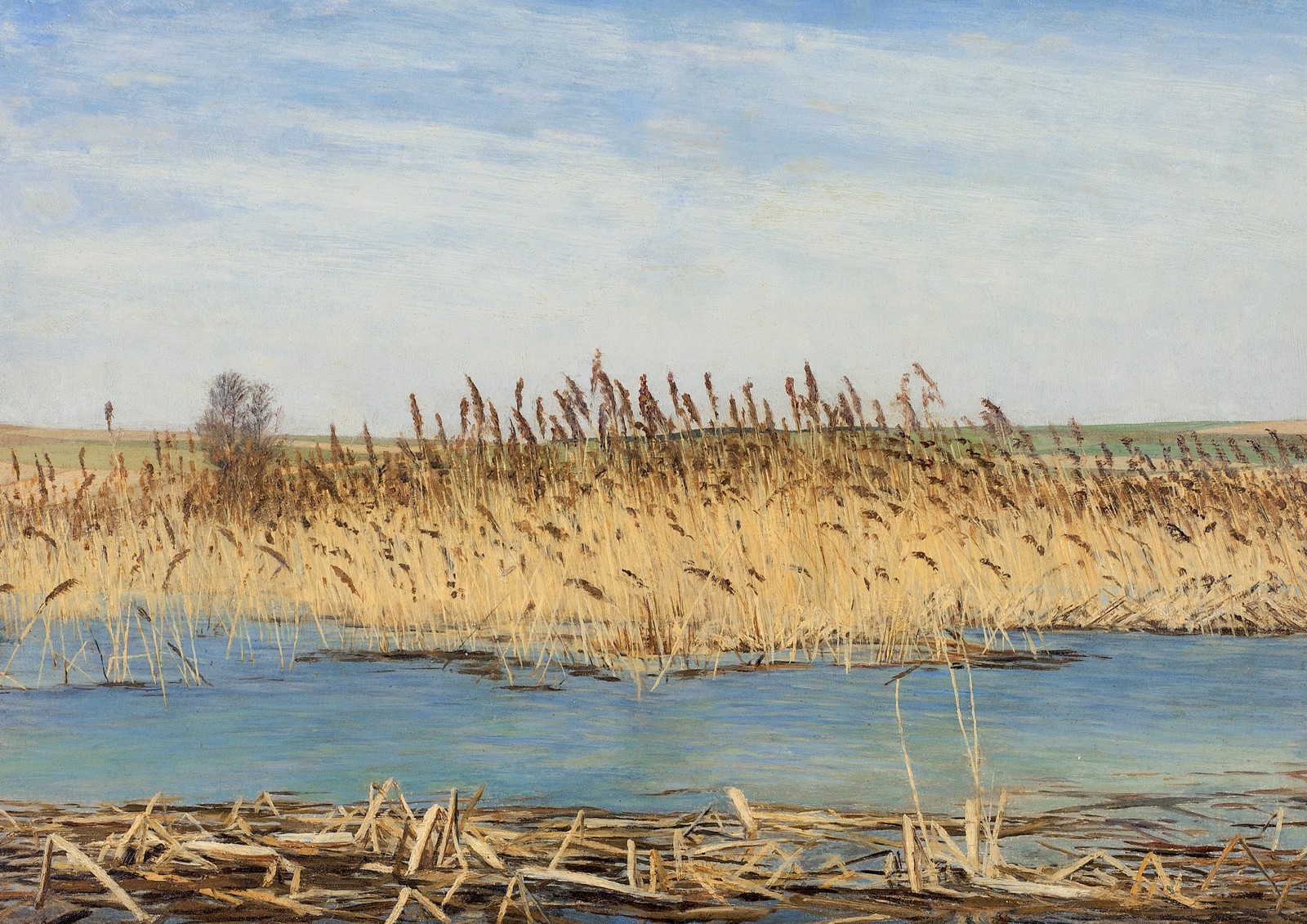 HONSA Jan - Rákos (Rybník)