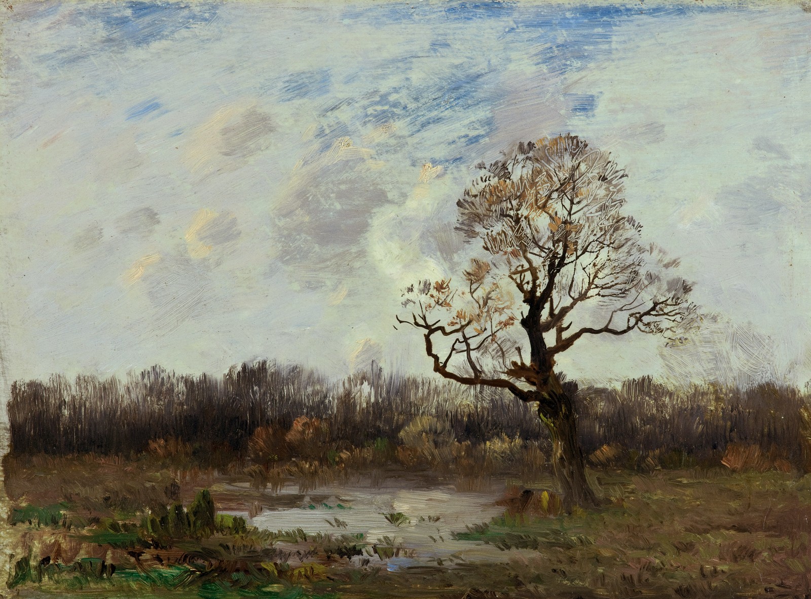 CHITTUSSI Antonín - Starů dub ve Fontainebleau