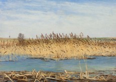 HONSA Jan - Rákos (Rybník)