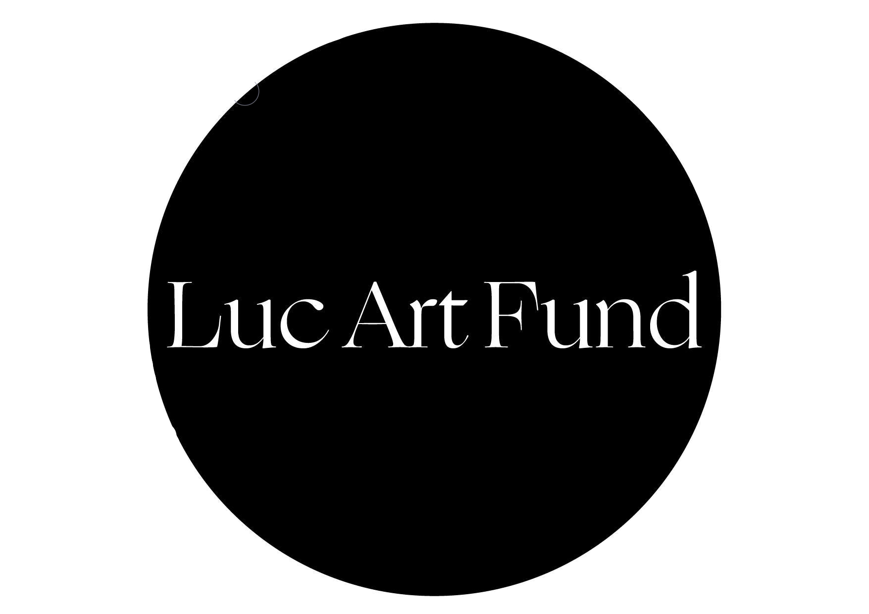 Luc Art Fund, nadační fond image