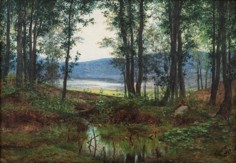 Liebscher Karel (1851-1906)