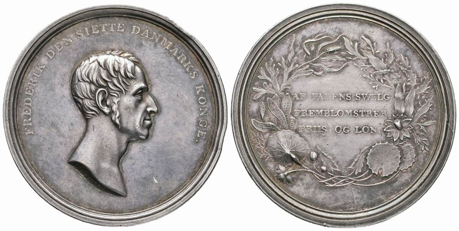 Dánsko, Frederik VI., 1808 - 1839
