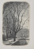 MÜLLER Karel