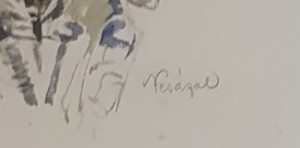 Nesázal Josef