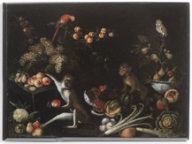 Jan van Kessel II (1654 - 1708)