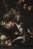 Jan van Kessel II (1654 - 1708)