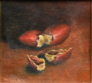 Matějka Jaroslav, 3 obrázky