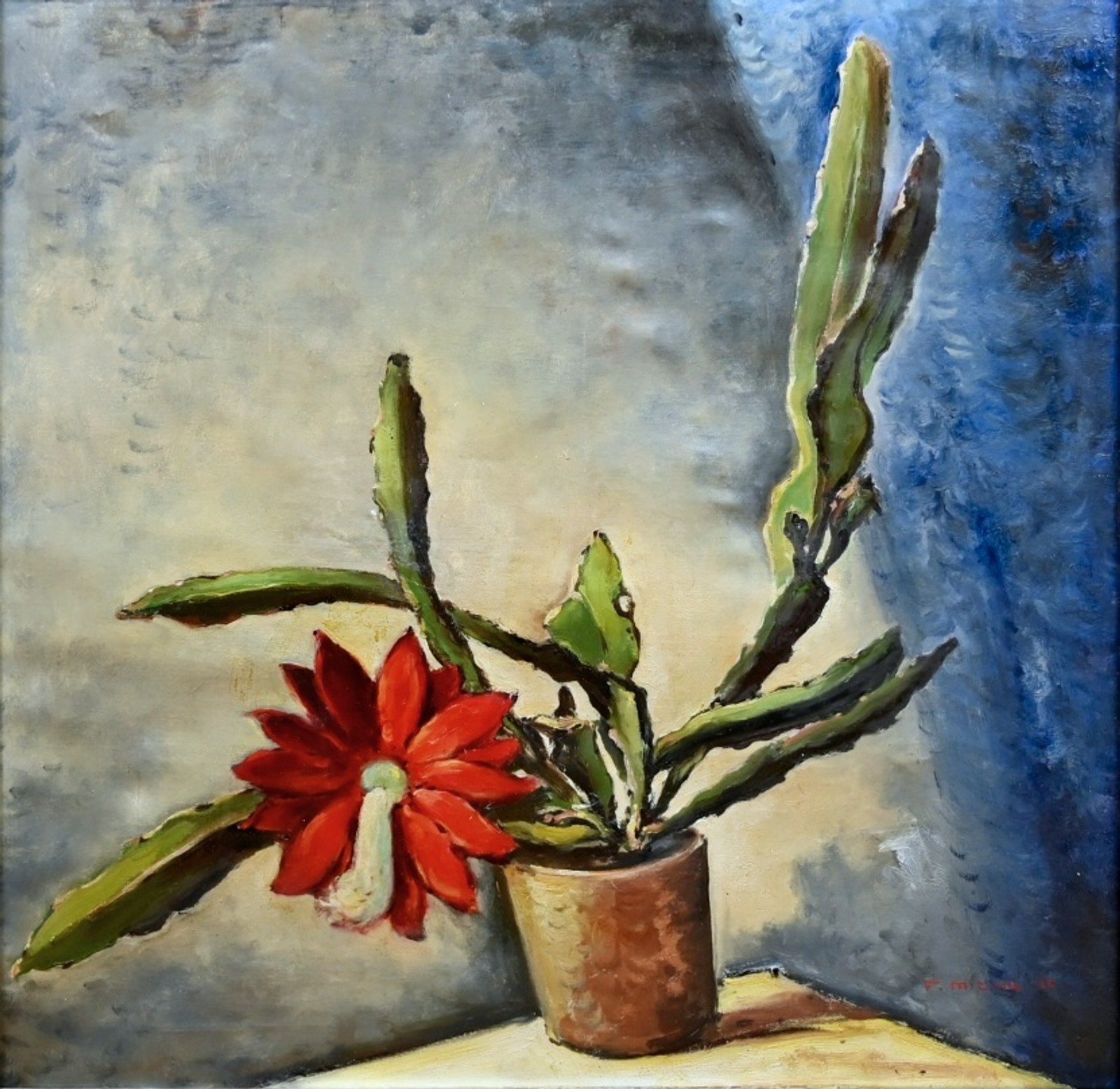 Michl František(1901 - 1977), Kvetoucí kaktus