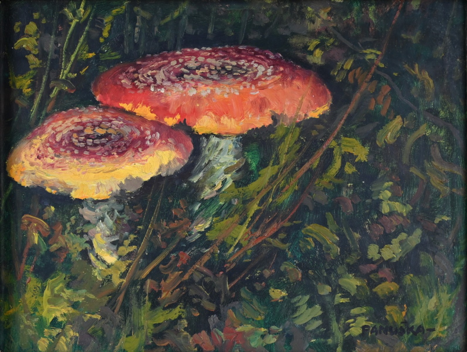 Panuška Jaroslav (1872 - 1958), Muchomůrky