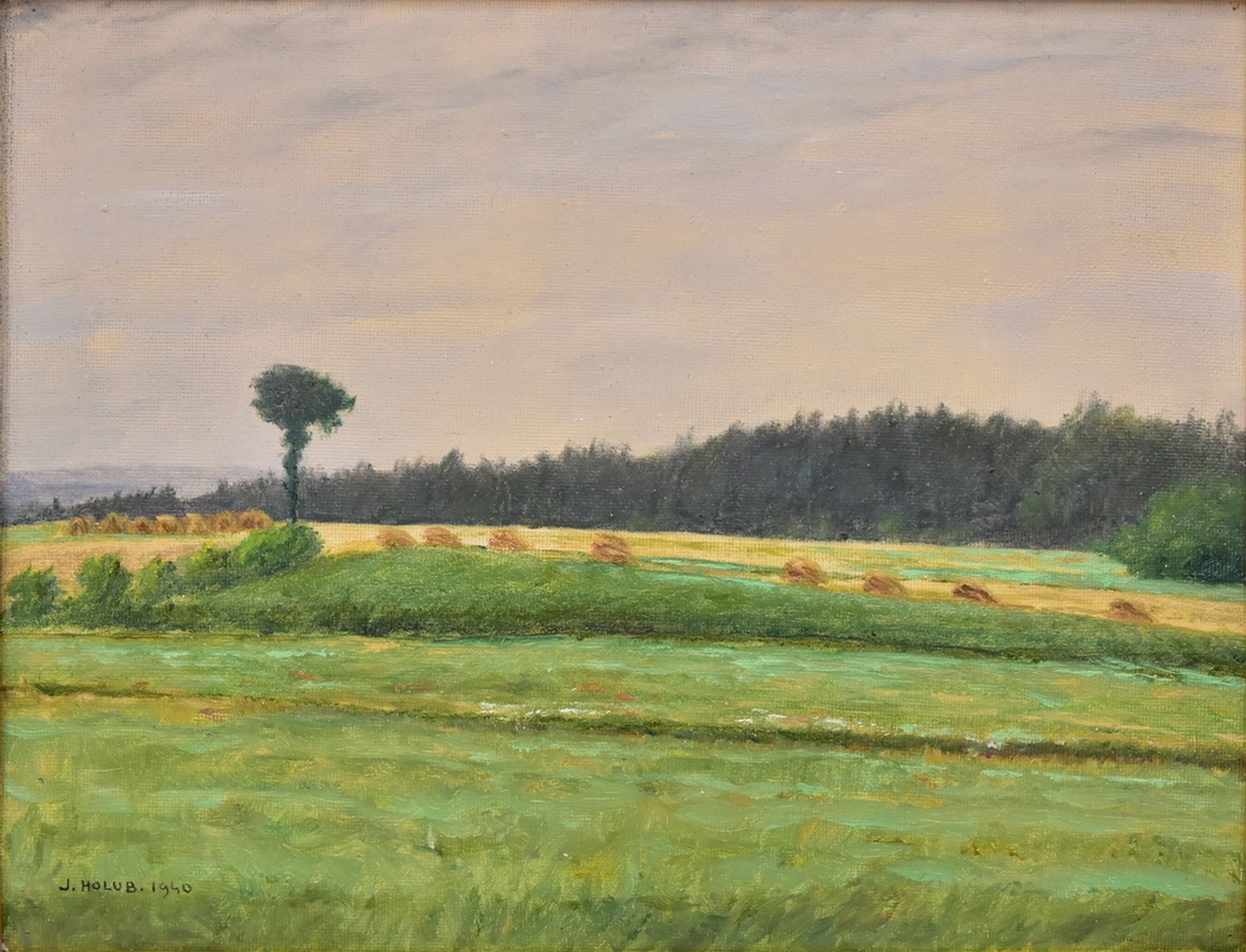 HOLUB Josef (1870 - 1957)