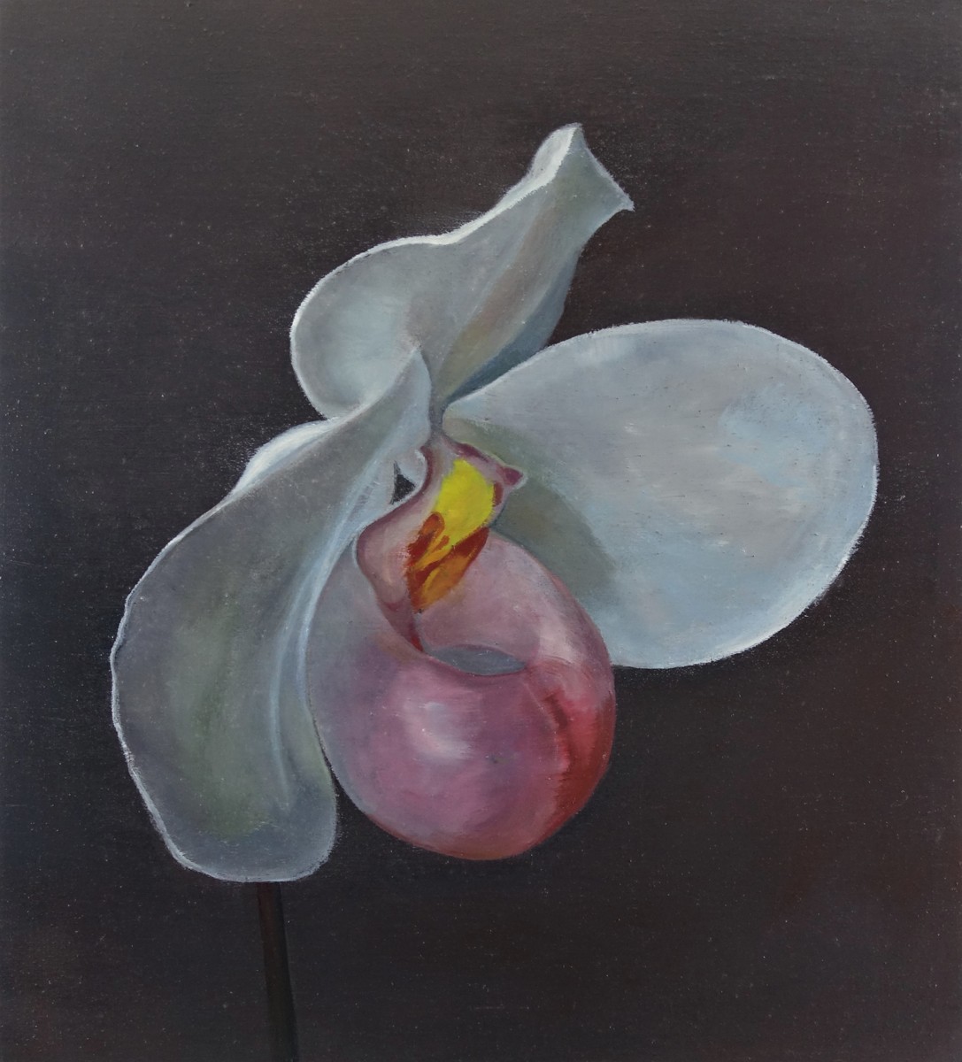 Nikl Petr (*1960) - Orchidej