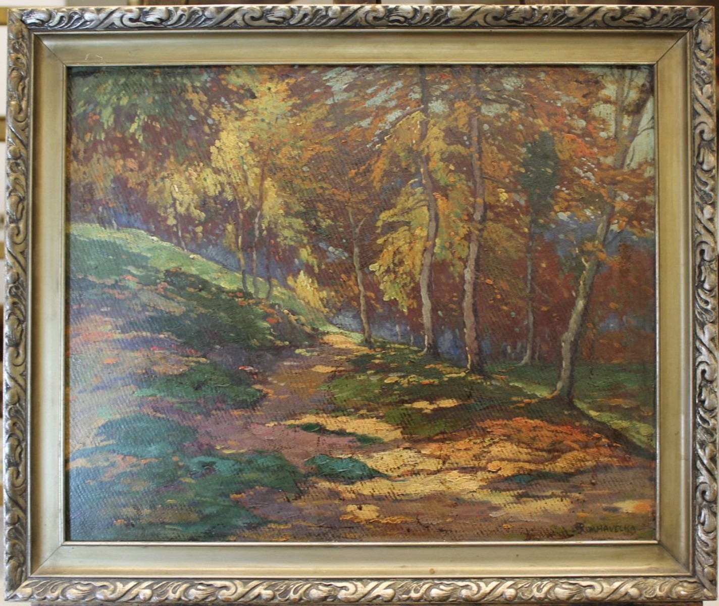 R. Havelka - Lesní cesta