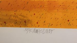 Bím Tomáš - Olomouc