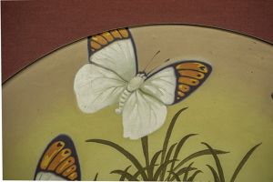 Vojkůvka Libor - Motýlí rej