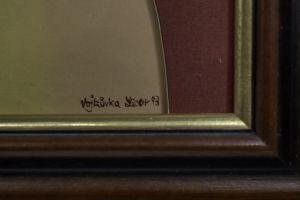 Vojkůvka Libor - Motýlí rej