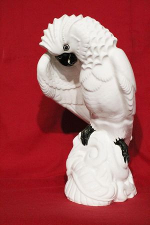 Dubí - Meisen ,Obrovský papoušek 