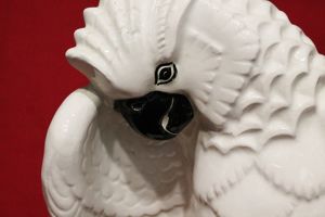 Dubí - Meisen ,Obrovský papoušek