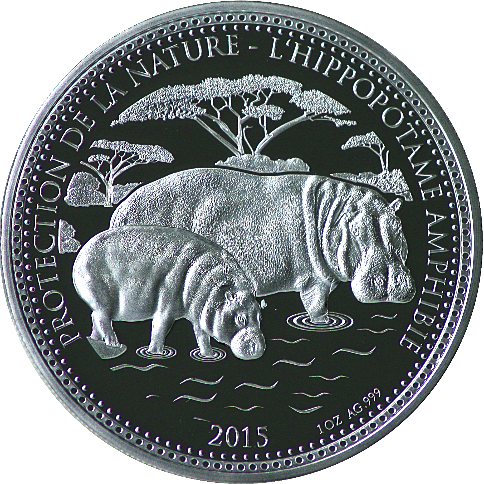 1000 Francs CFA 2015