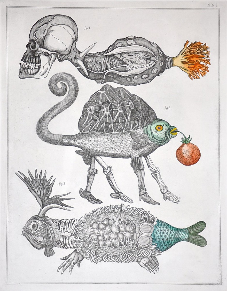 Jan Švankmajer
