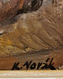 Novák Karel
