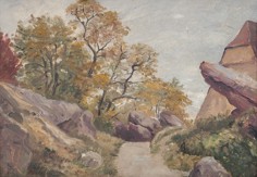 Braunerová Zdeňka - Motiv z Fontainebleau