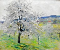 SEDLOŇ OTAKAR
